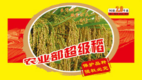 深嘉
